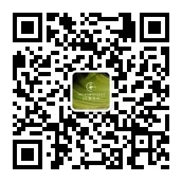 首页-缅甸小勐拉99厅-缅甸九九厅网址